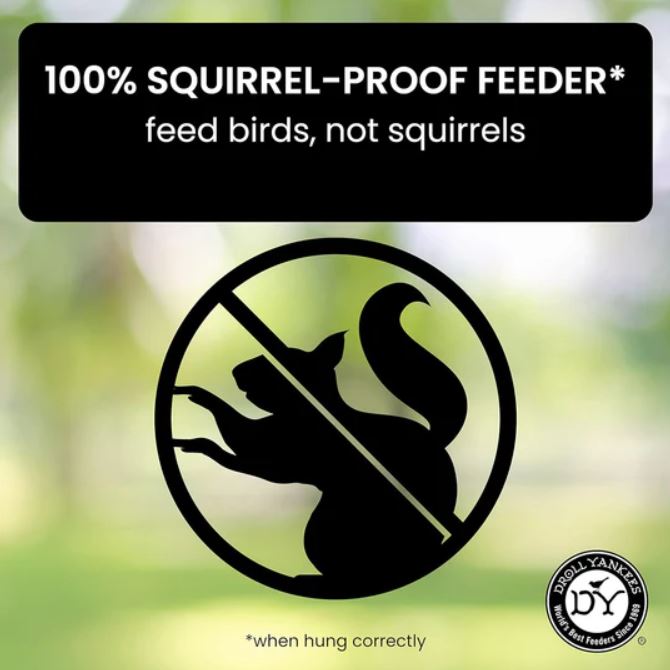 BirdBunker™ Squirrel-Proof Bird Feeder