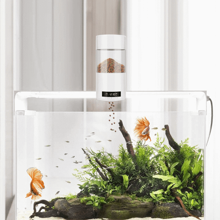 Automatic Fish Feeder with Smart Timer
