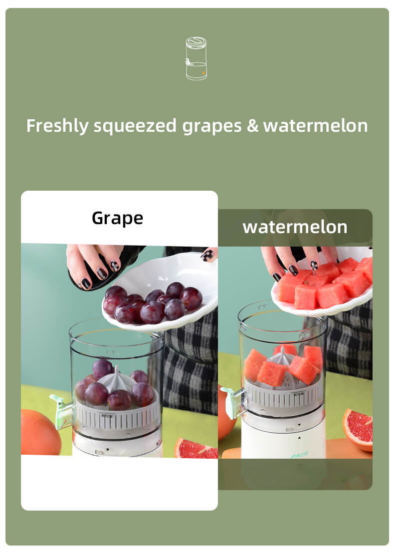 FruitFiesta Portable Citrus Fresh Juicer